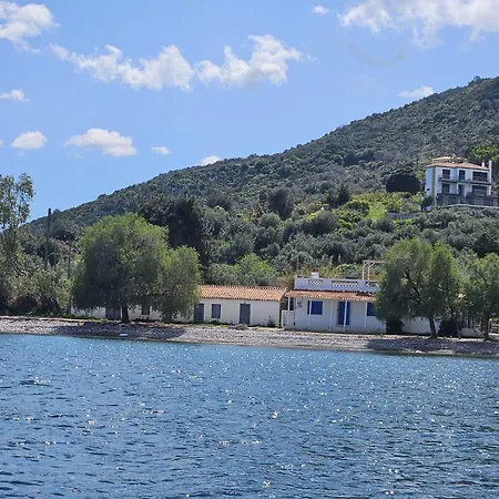 Ammor Houses, Nisida
