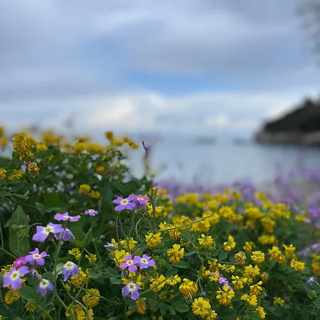 Ammor Houses, Nisida Διαμέρισμα *