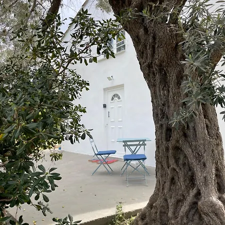 Ammor Houses, Nisida * Ano Fanari