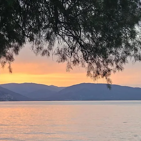 Ammor Houses, Nisida