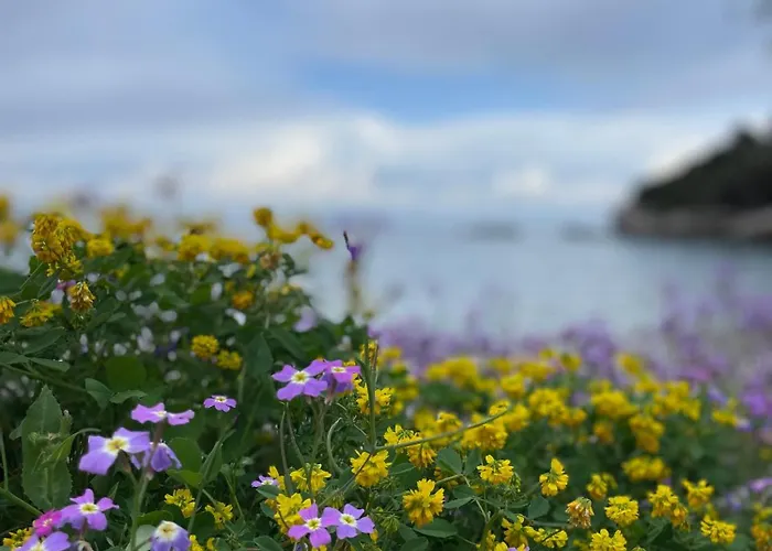 Ammor Houses, Nisida דירה *